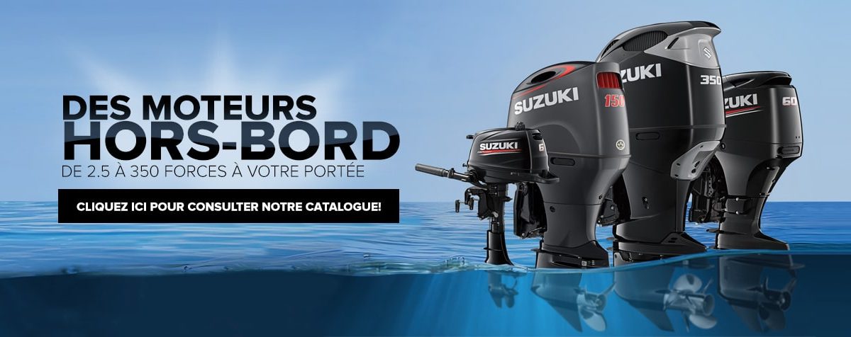 Moteurs hors-bord neufs